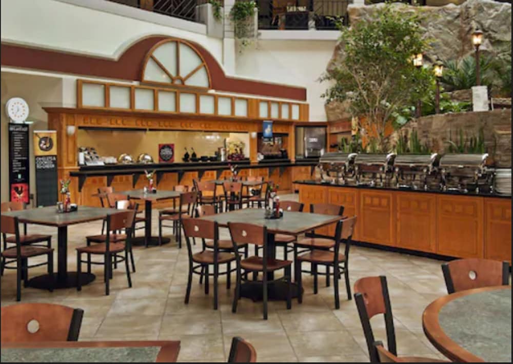 restaurant-cafeteria