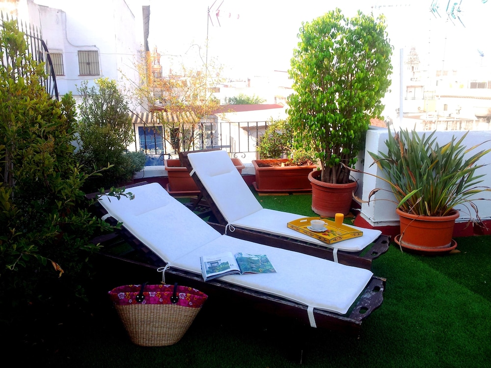 La Casa Del Maestro Boutique 40/50