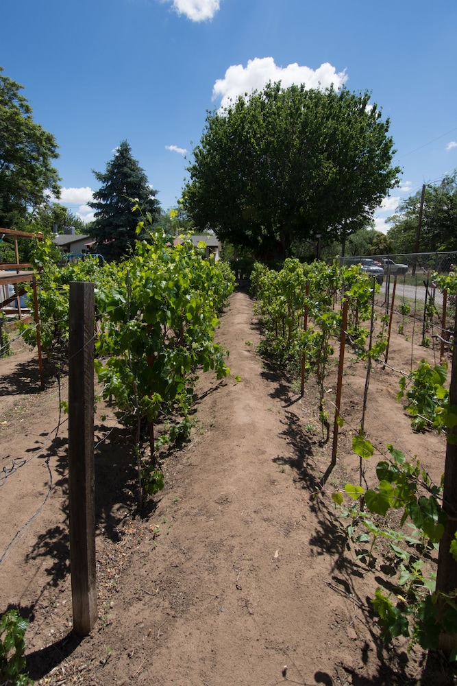 Red Horse Vineyard Bed & Breakfast 61/66