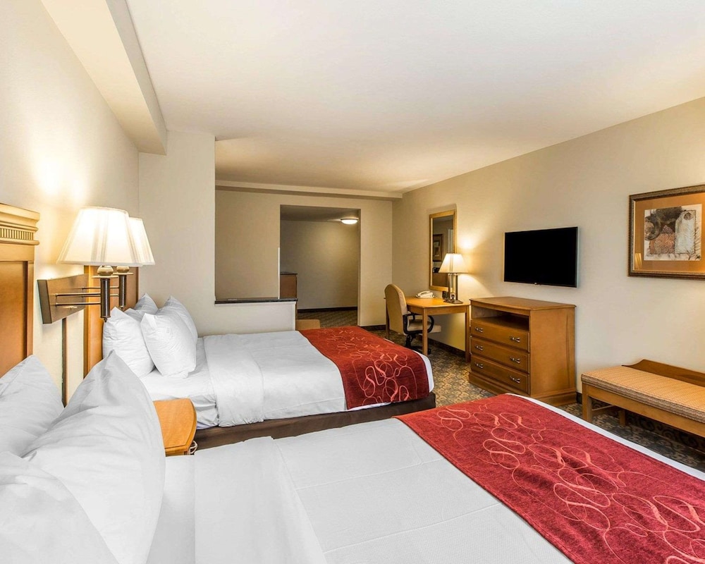 Comfort Suites Valdosta Mall Area 15/45