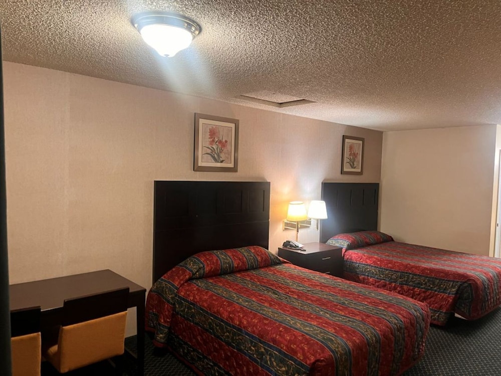 Standard, Single, 2 Queen Beds