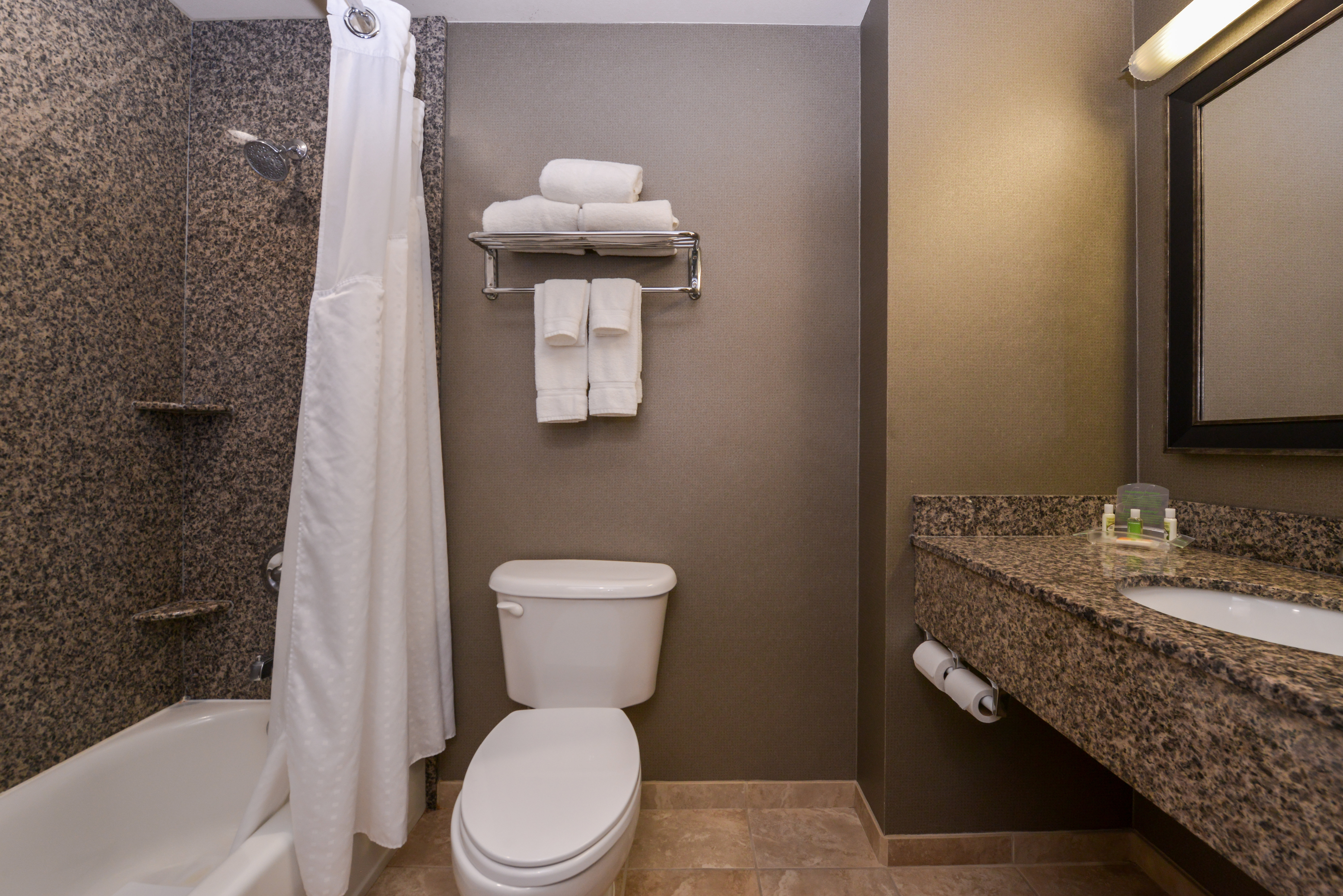 Holiday Inn Ontario Airport 69/73