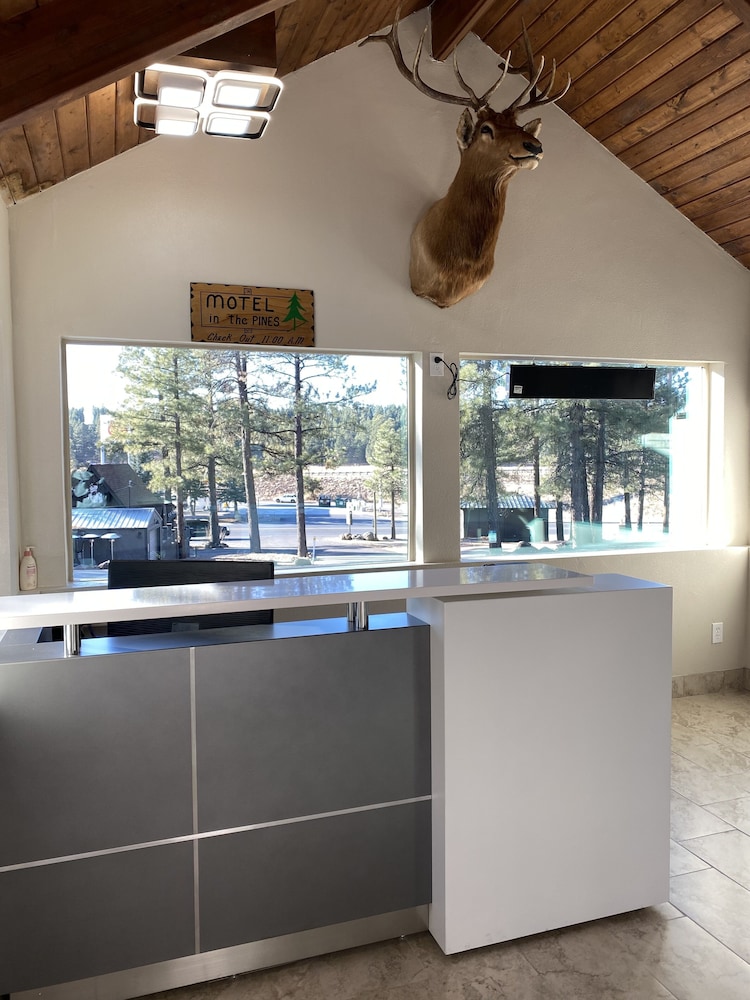 Motel In The Pines 2/41