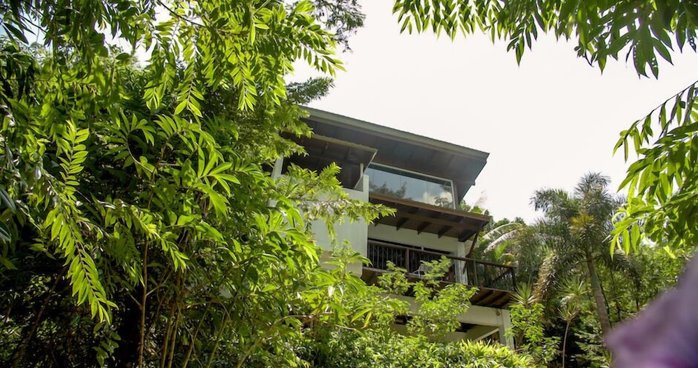 The Dusun 44/50