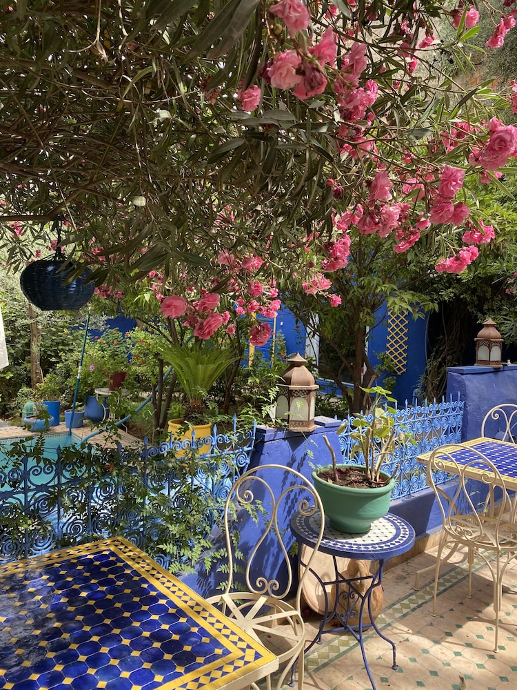 Riad Jean Claude 31/48