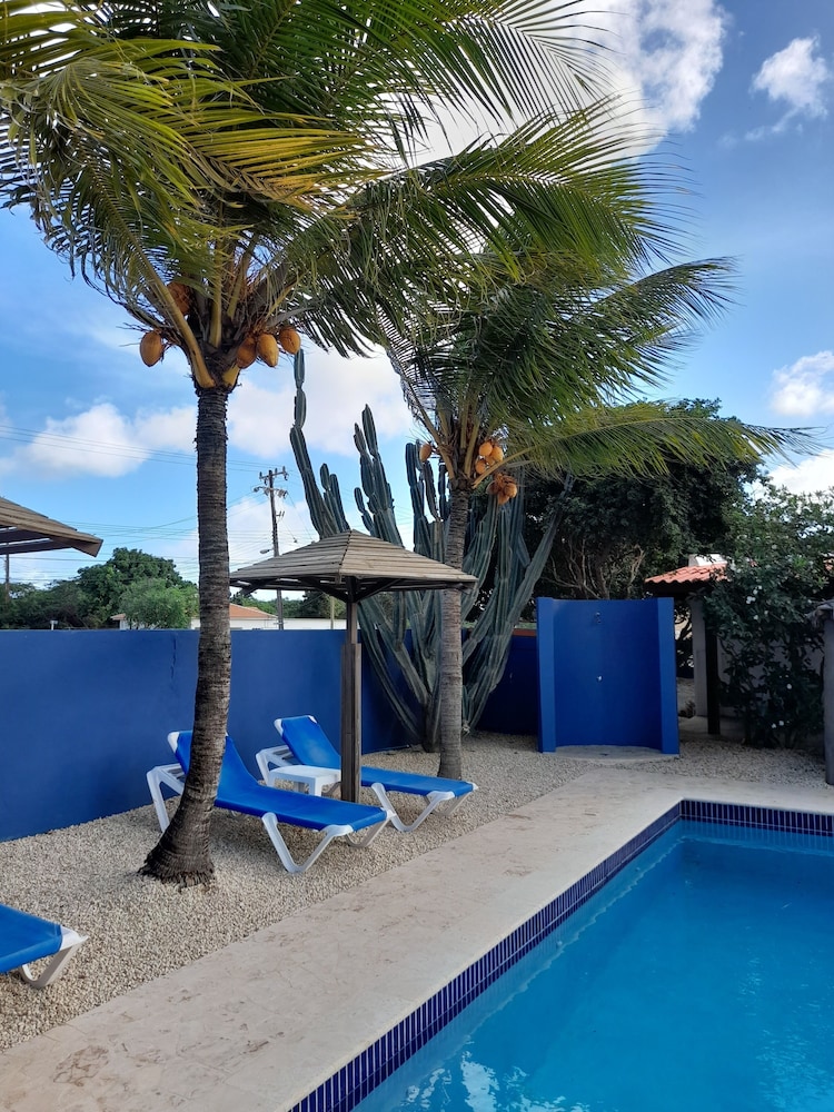 Caribbean Chillout 25/35