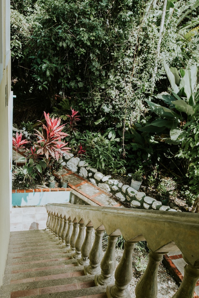 Hotel La Posada And Jungle 67/74