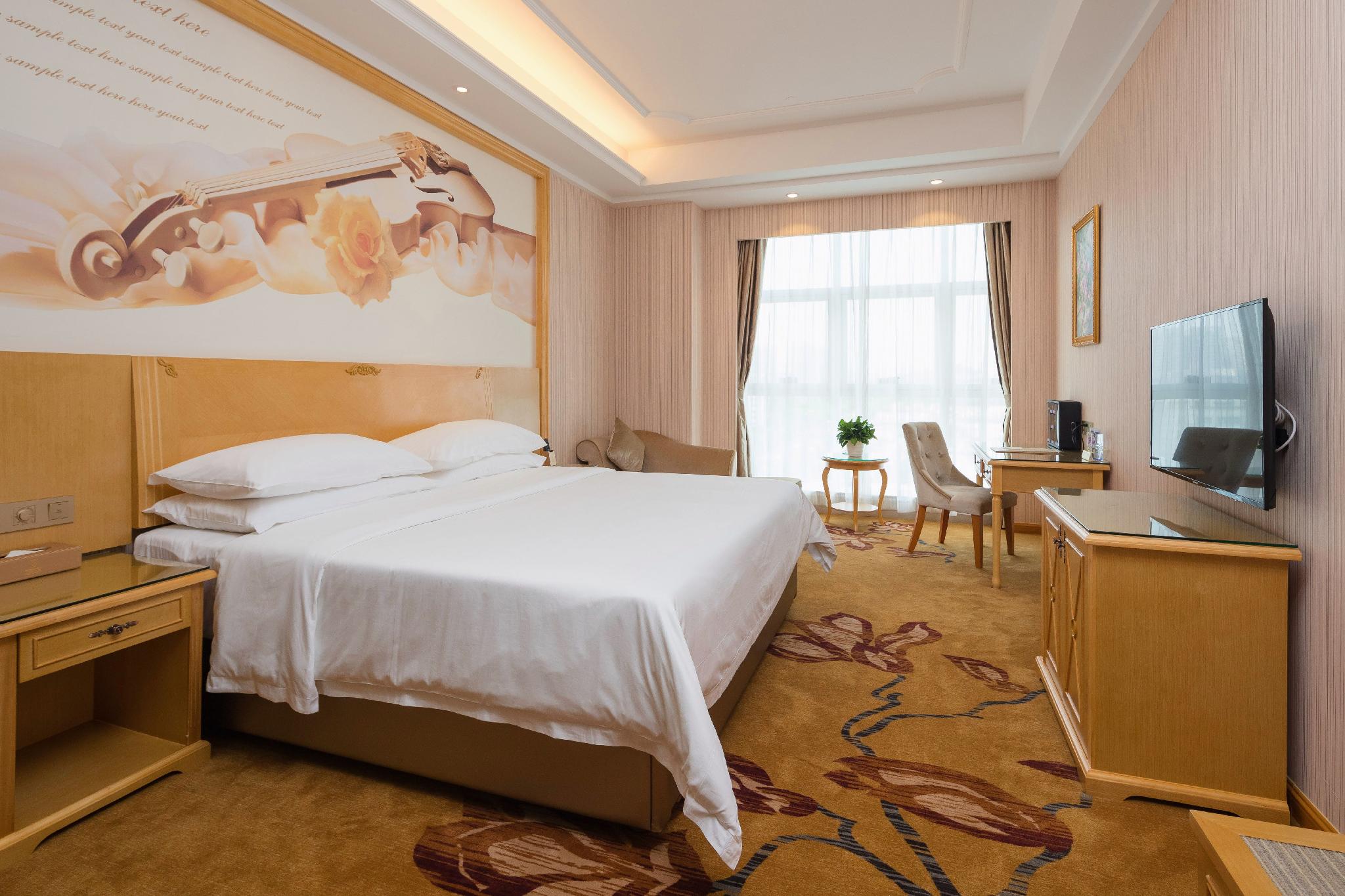 Vienna International Hotel (Dongcheng Building, Lanzhu East Road, Pingshan, Shenzhen) 21/47
