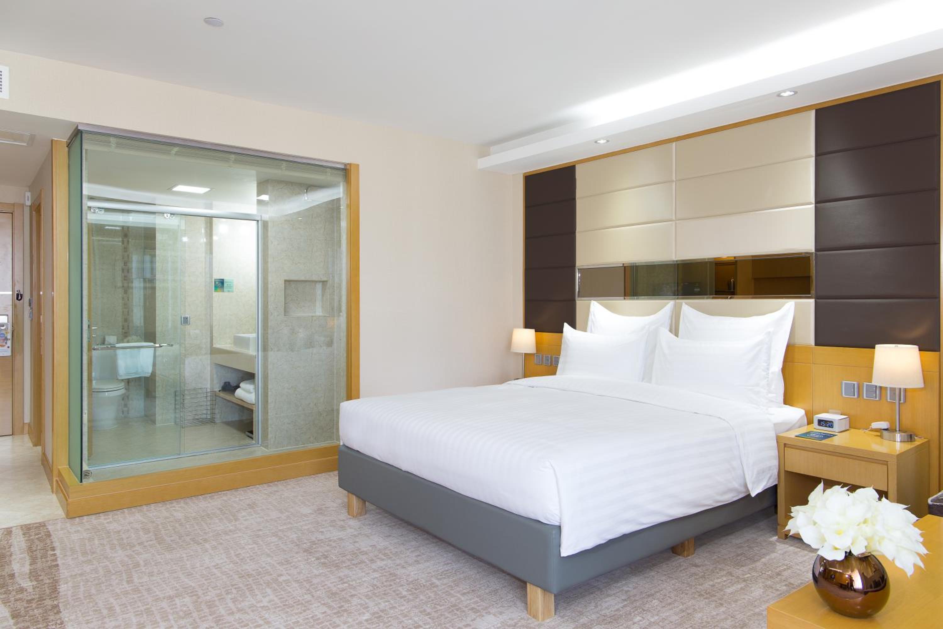 غرفة قياسية بسرير كينج، Novotel Ulaanbaatar 2/10