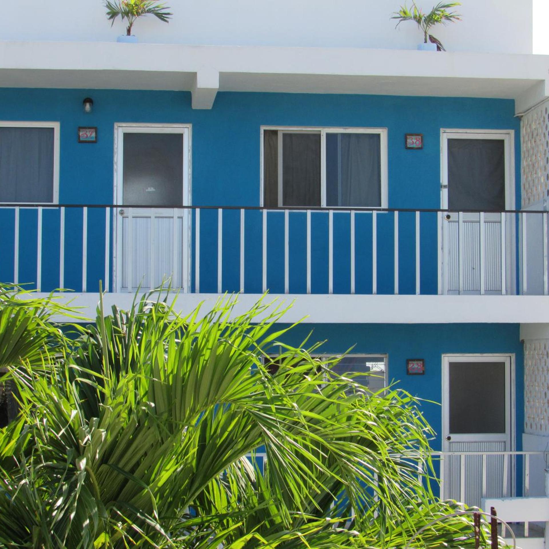 Blue Coconut Cancun 4/52
