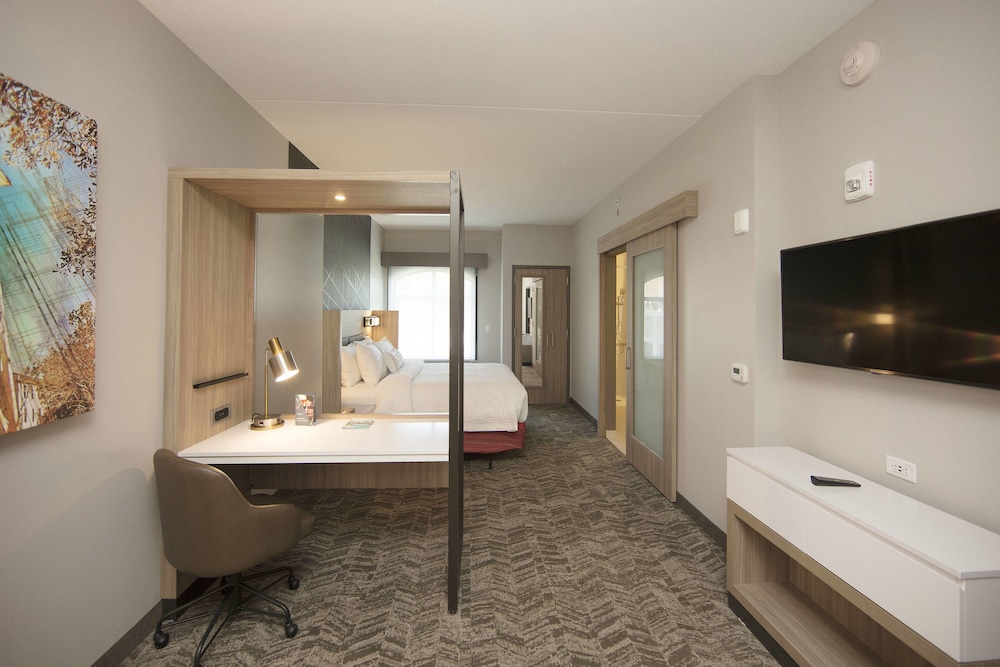 SpringHill Suites by Marriott Athens Downtown/University Area 38/41