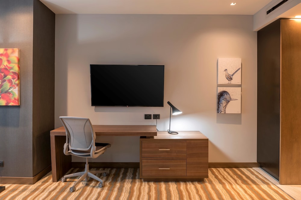 Hilton Garden Inn Chihuahua Chihuahua 48/67