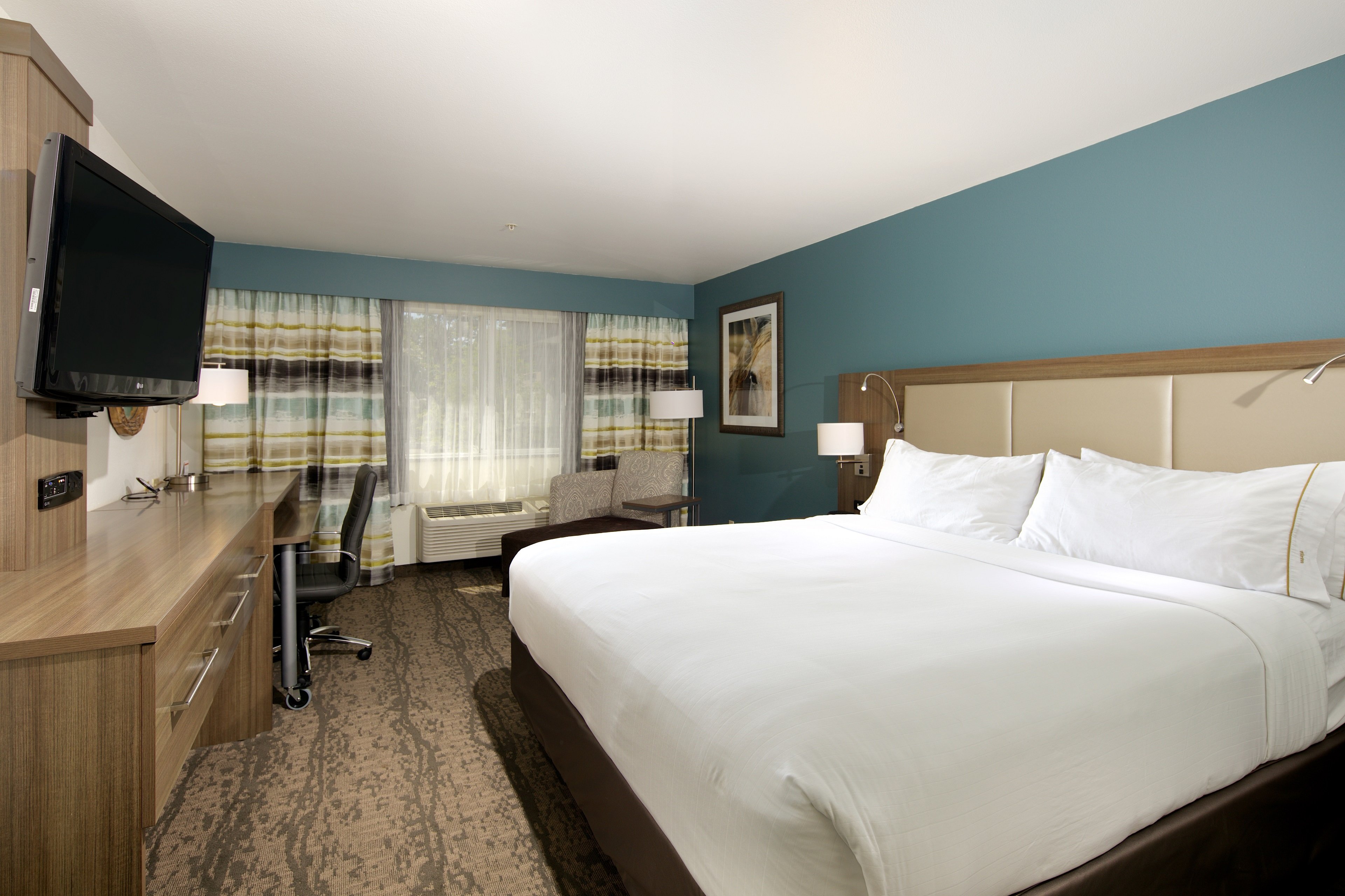 Room, King Bed