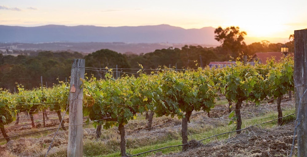 Wandin Valley Estate 31/37