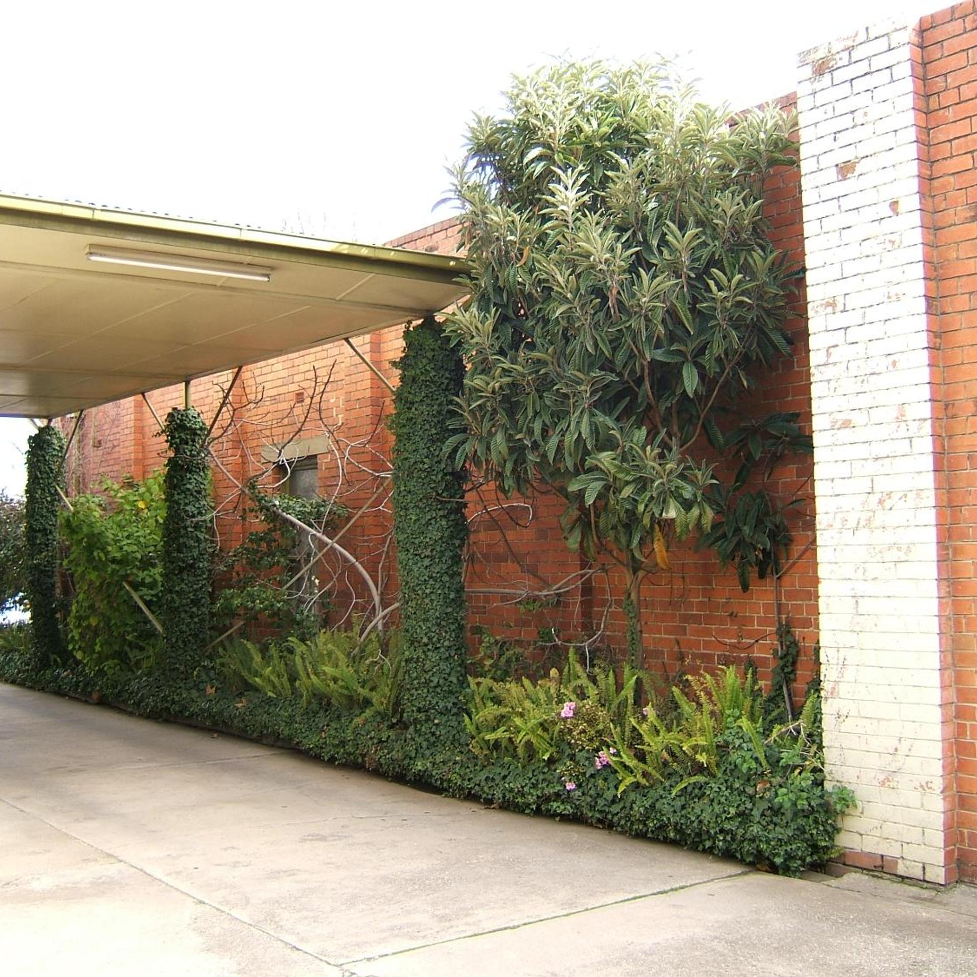 Albury Clifton Motel 5/18
