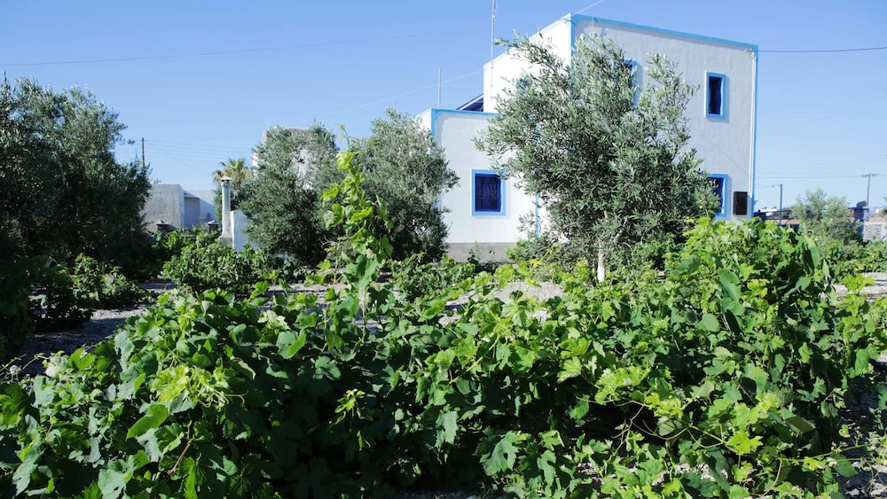 Kapetanios Studios 33/50