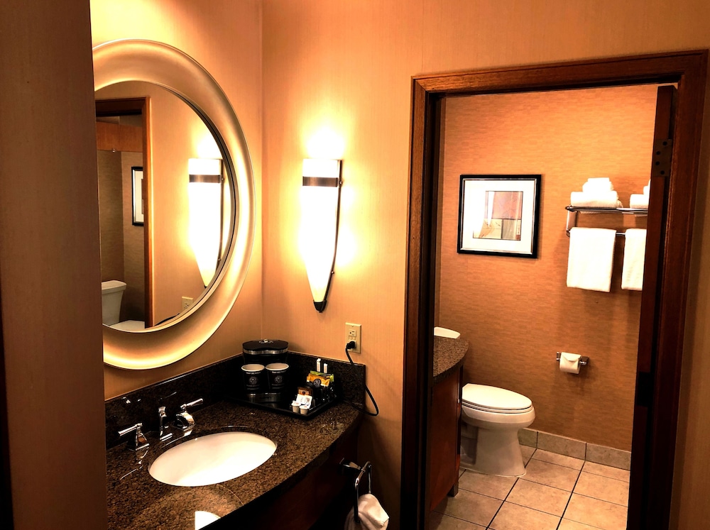 Doubletree By Hilton Durango 17/57