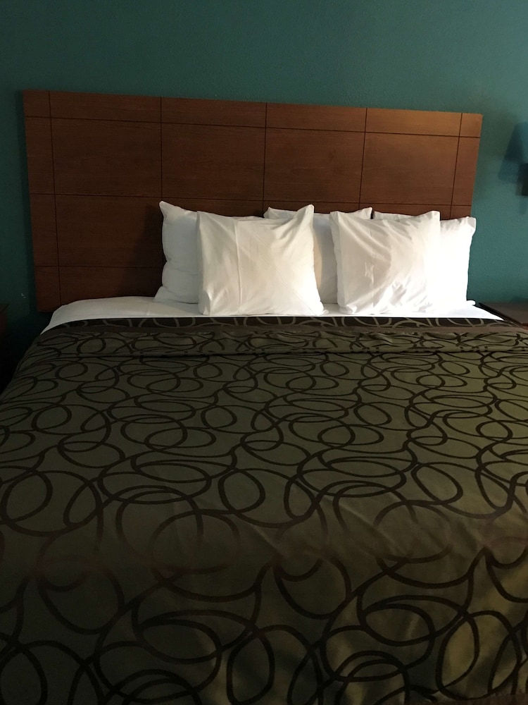Best Western Tallahassee-Downtown Inn & Suites 17/28