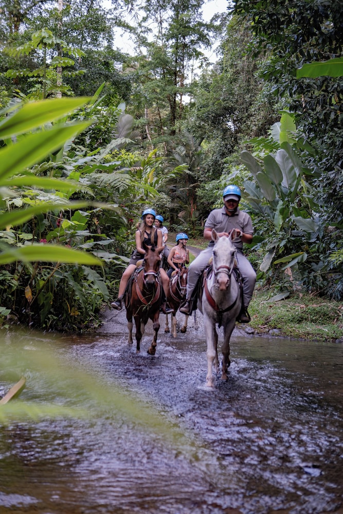 Chachagua Rainforest Hotel And Hacienda 46/50