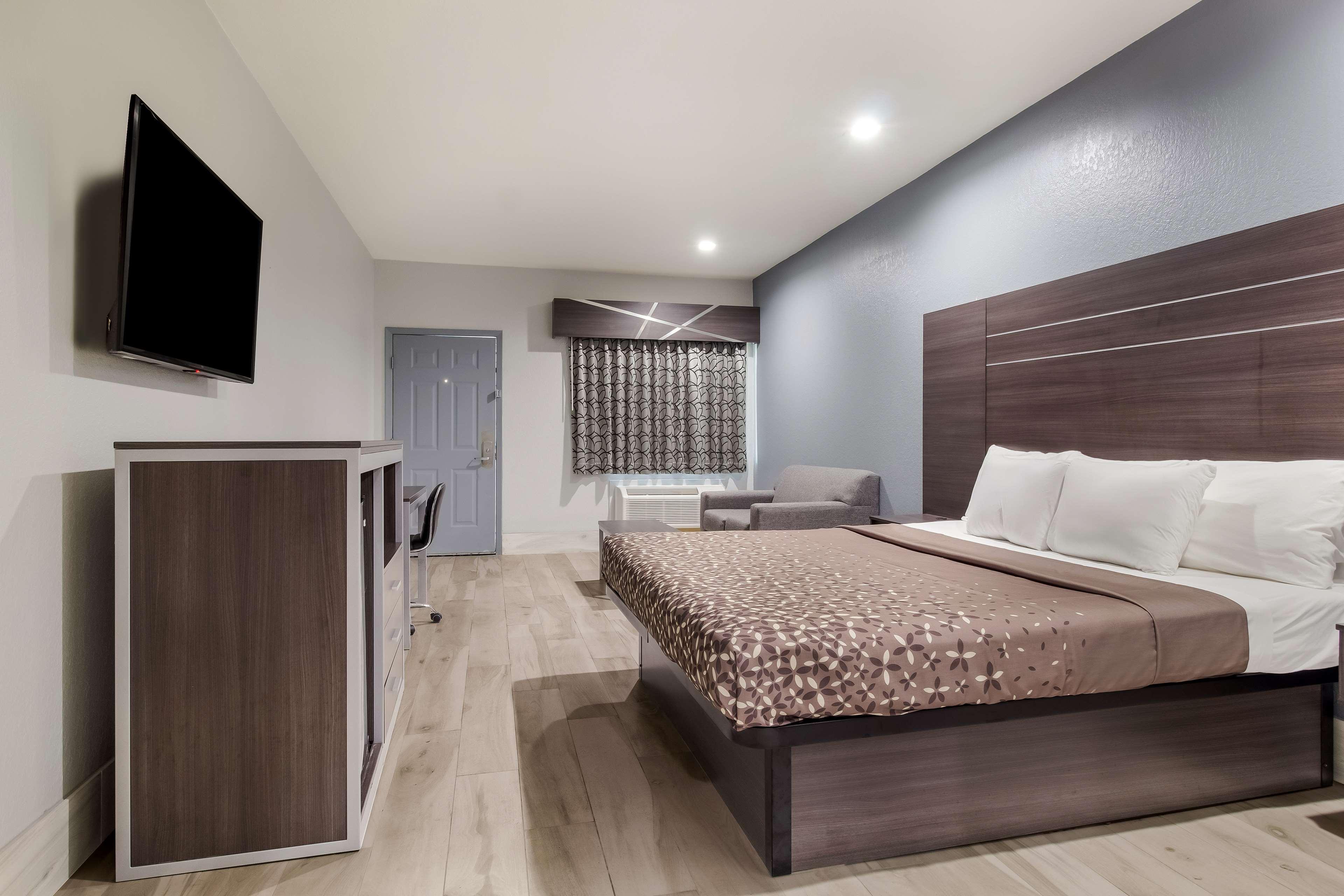 suite, king bed