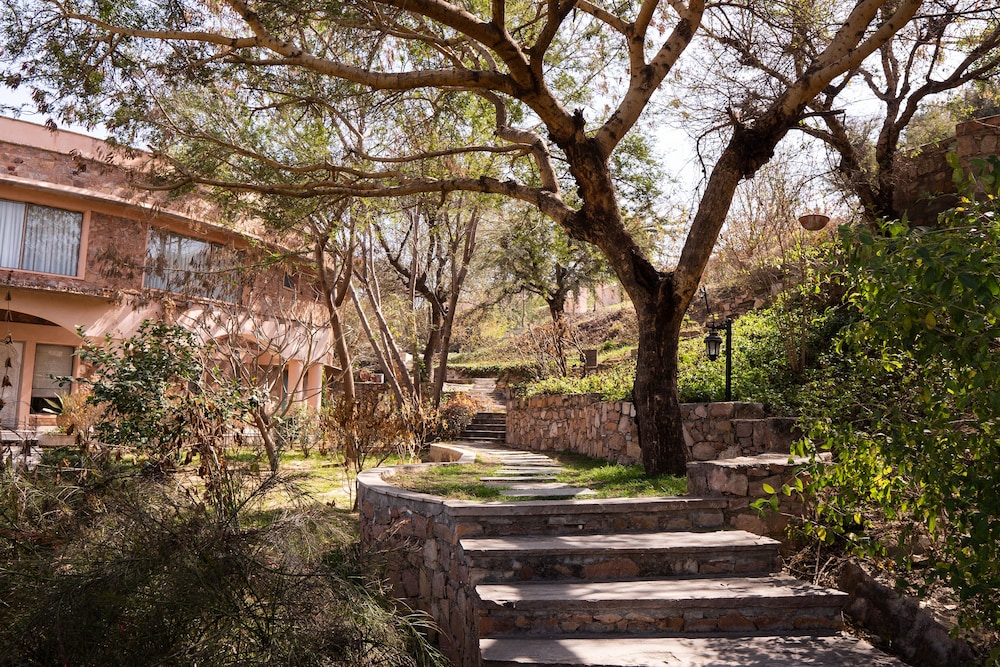 Tree of Life Resort and Spa, Jaipur 48/50