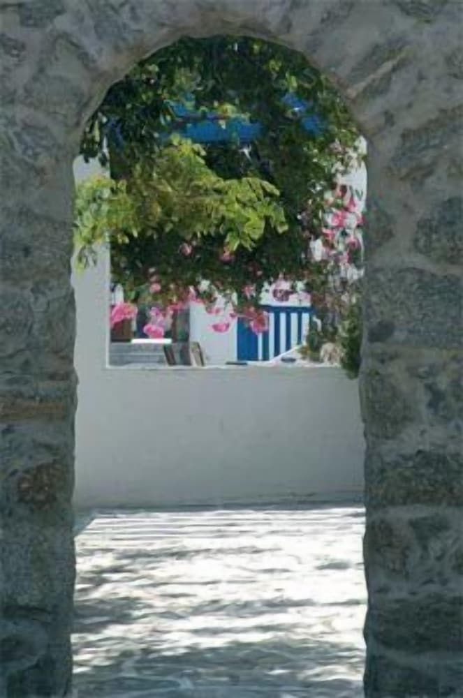 Gorgona 61/71