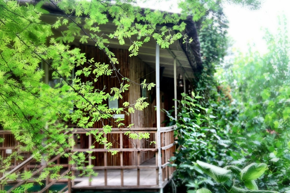 The Tree House Resort 29/35