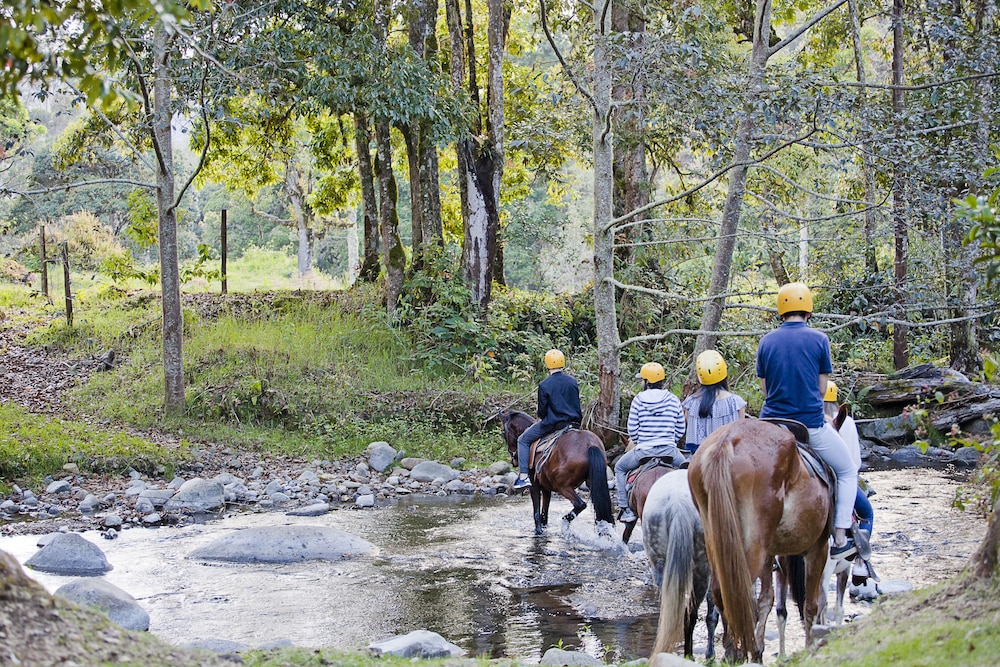 Savegre Hotel Natural Reserve And Spa 23/69
