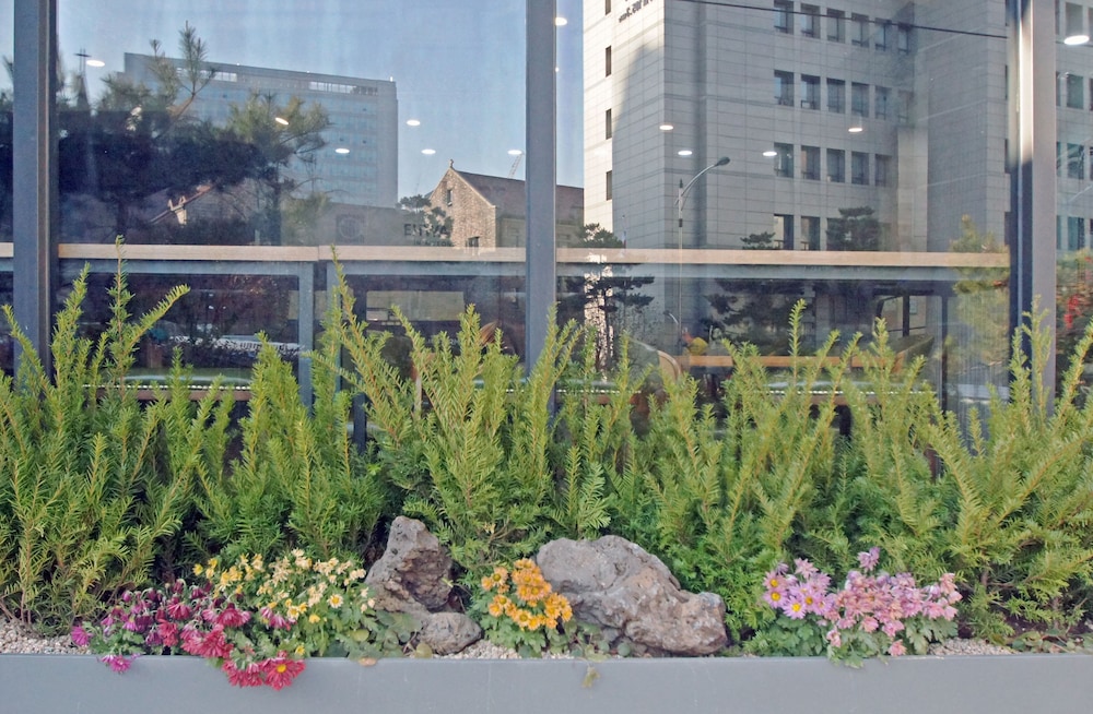 EHWA HOTEL MYEONGDONG 66/69