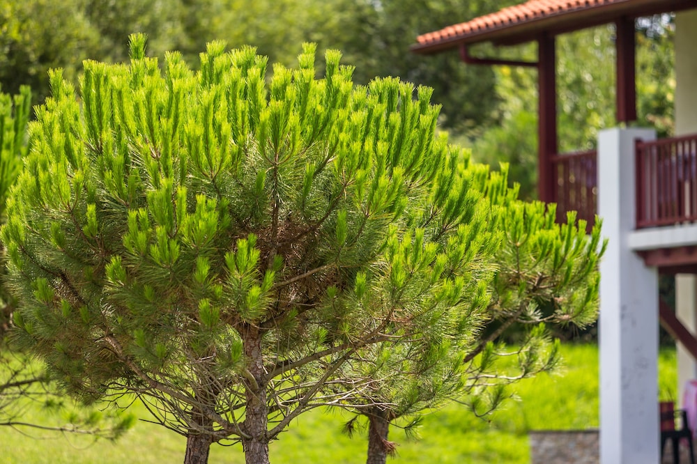 Residence Odalys Domaine Iratzia 37/50