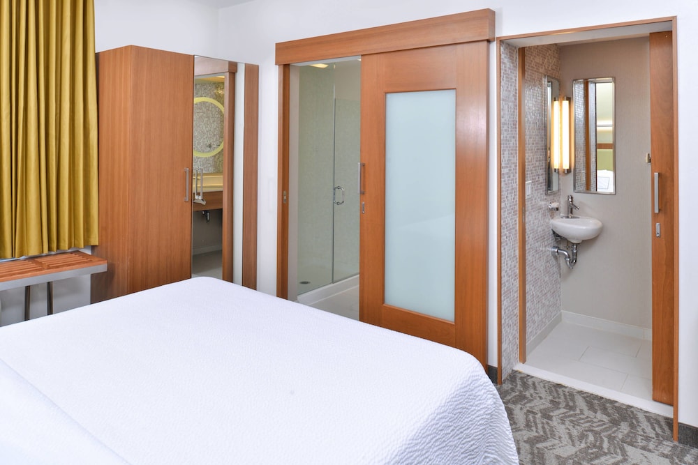 SpringHill Suites by Marriott Detroit Metro Airport Romulus 12/47