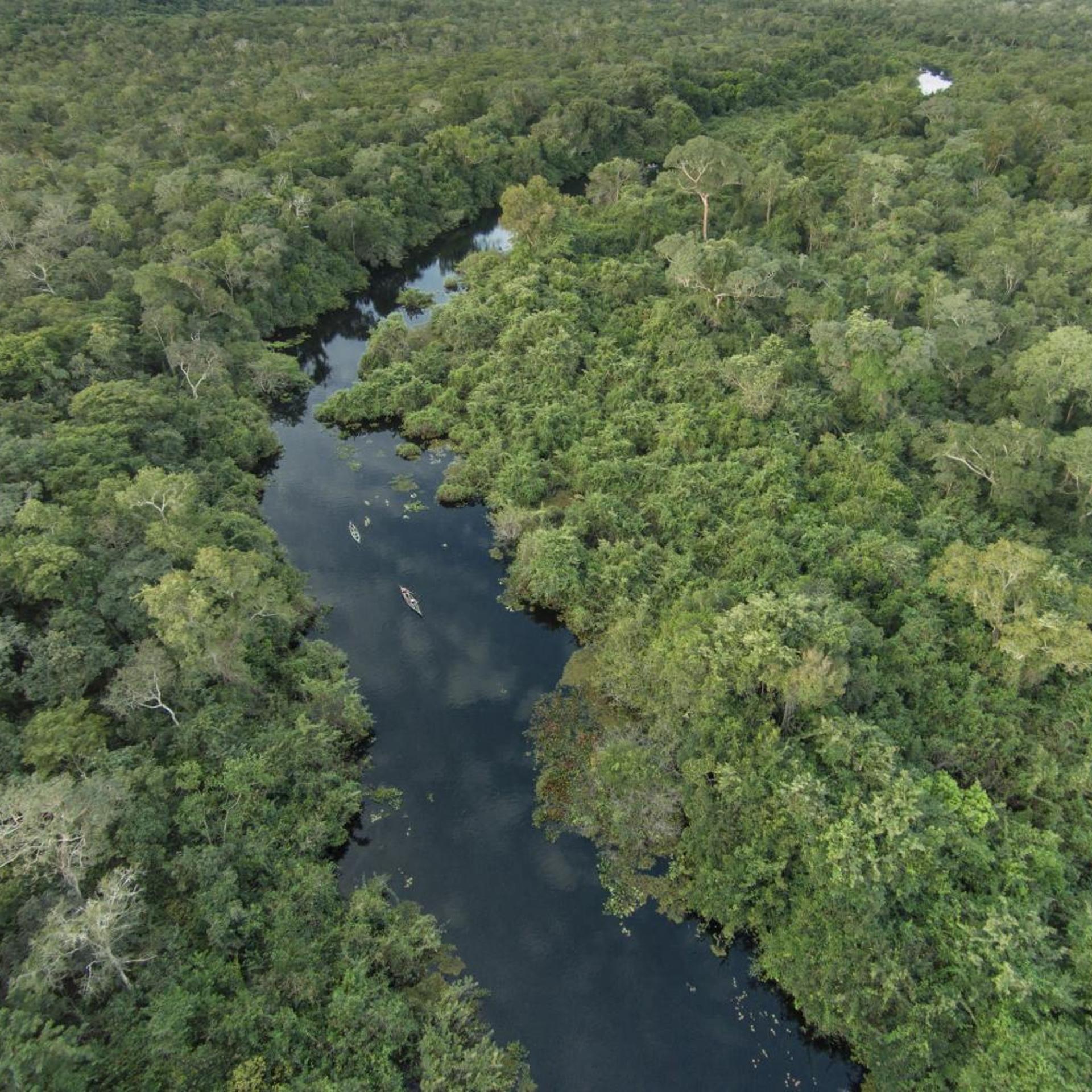 Pousada Araras Eco Lodge 38/50