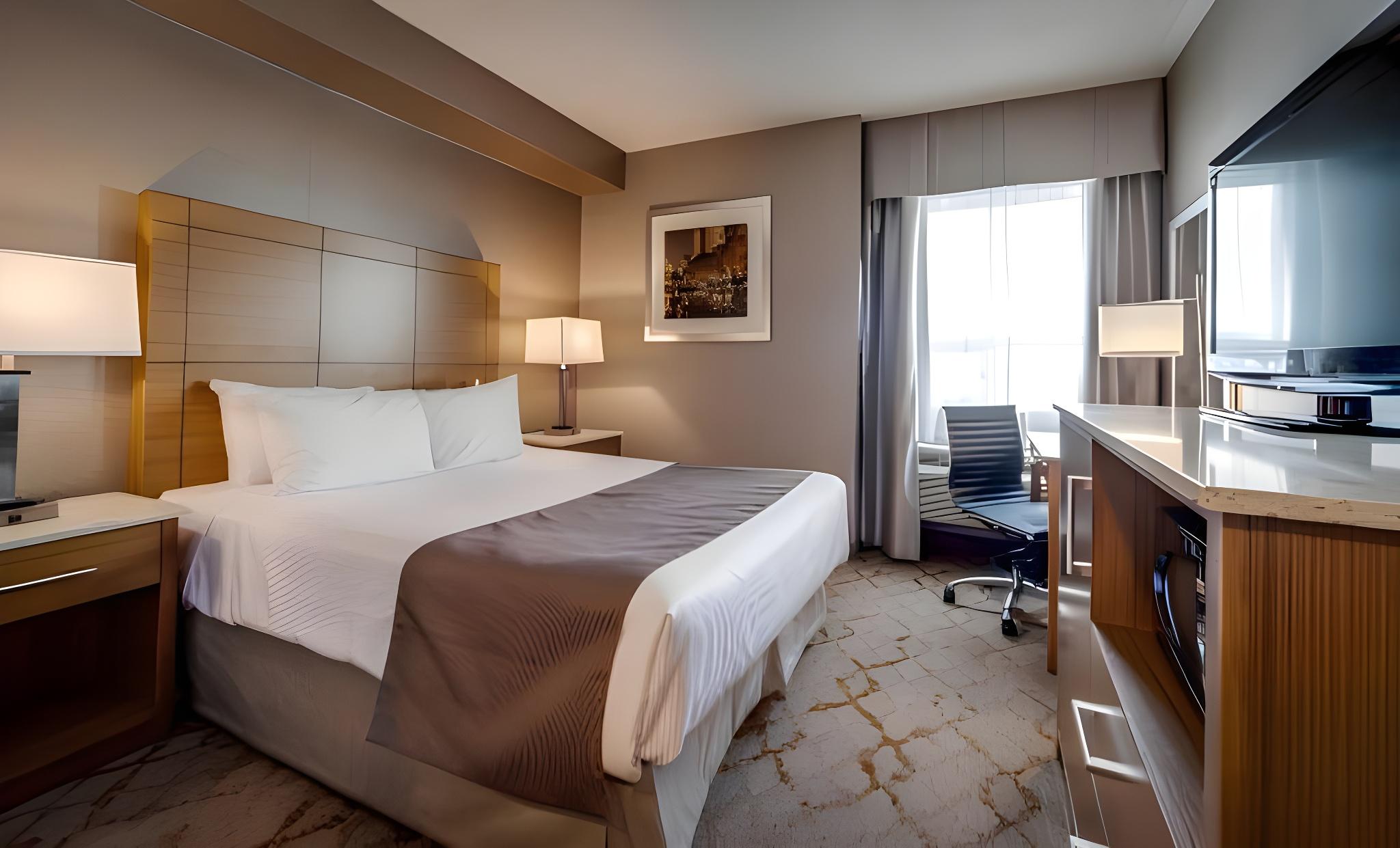 Studio, Suite, King Bed, Sofa