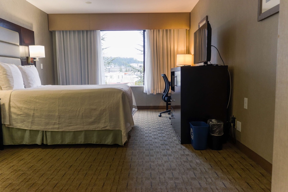 Silverdale Beach Hotel 20/50