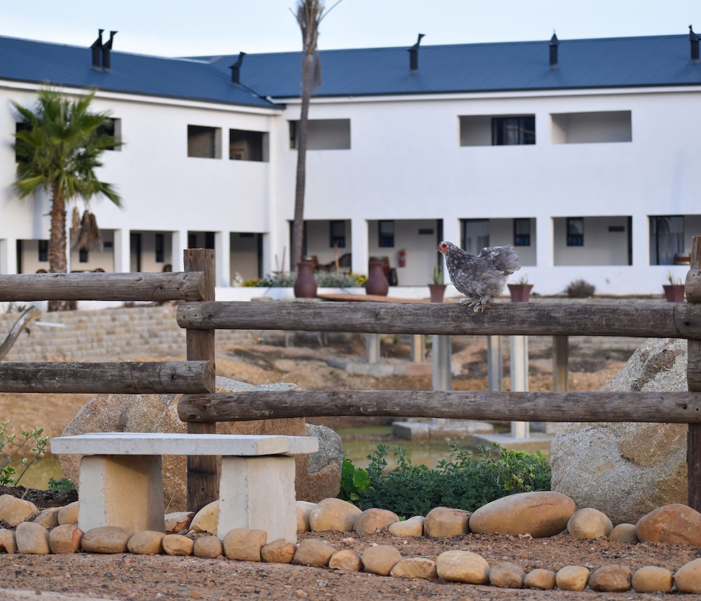 Middelplaas Paarl Guesthouse 28/31