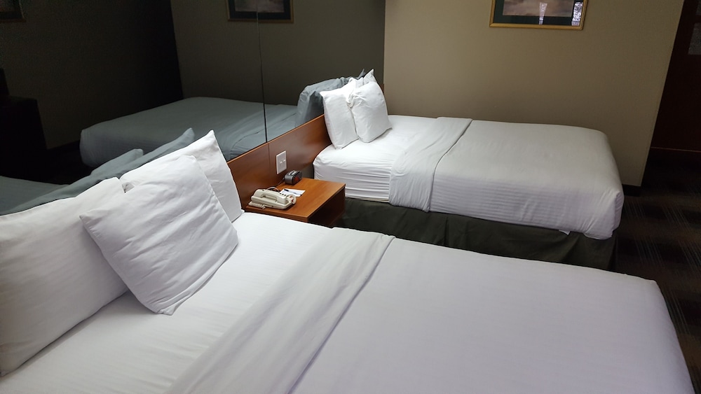 Microtel Inn And Suites Bozeman 17/34