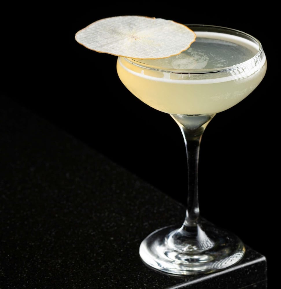 洛杉矶索菲特酒店(Hotel Sofitel Los Angeles at Beverly Hills) 图片2
