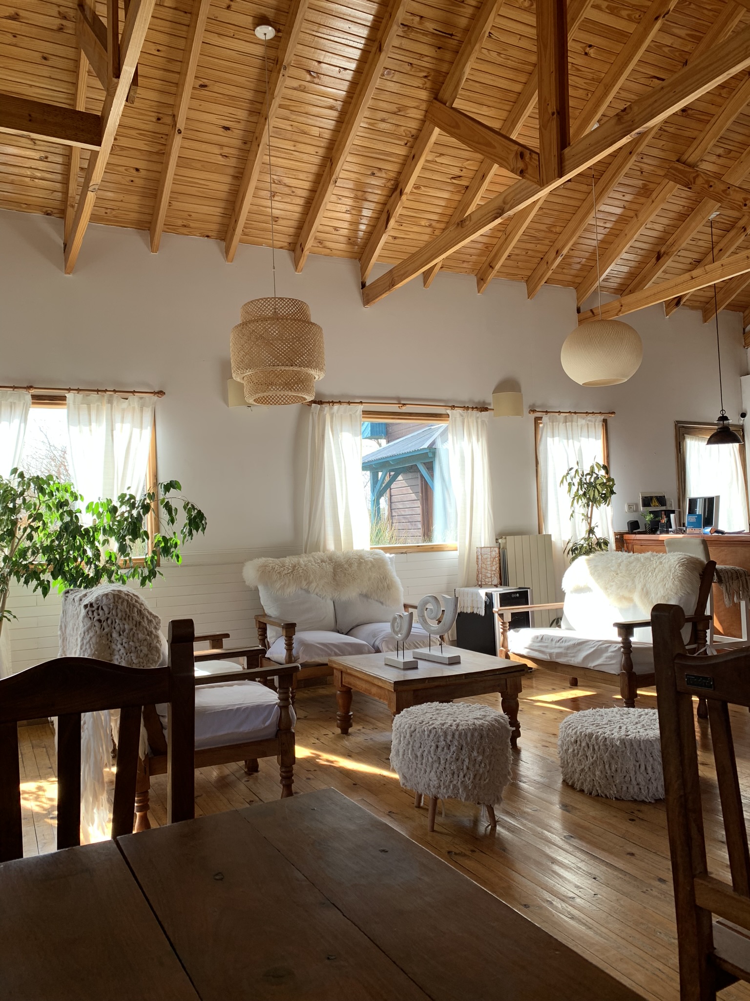 HOSTERIA HAINEN 26/50