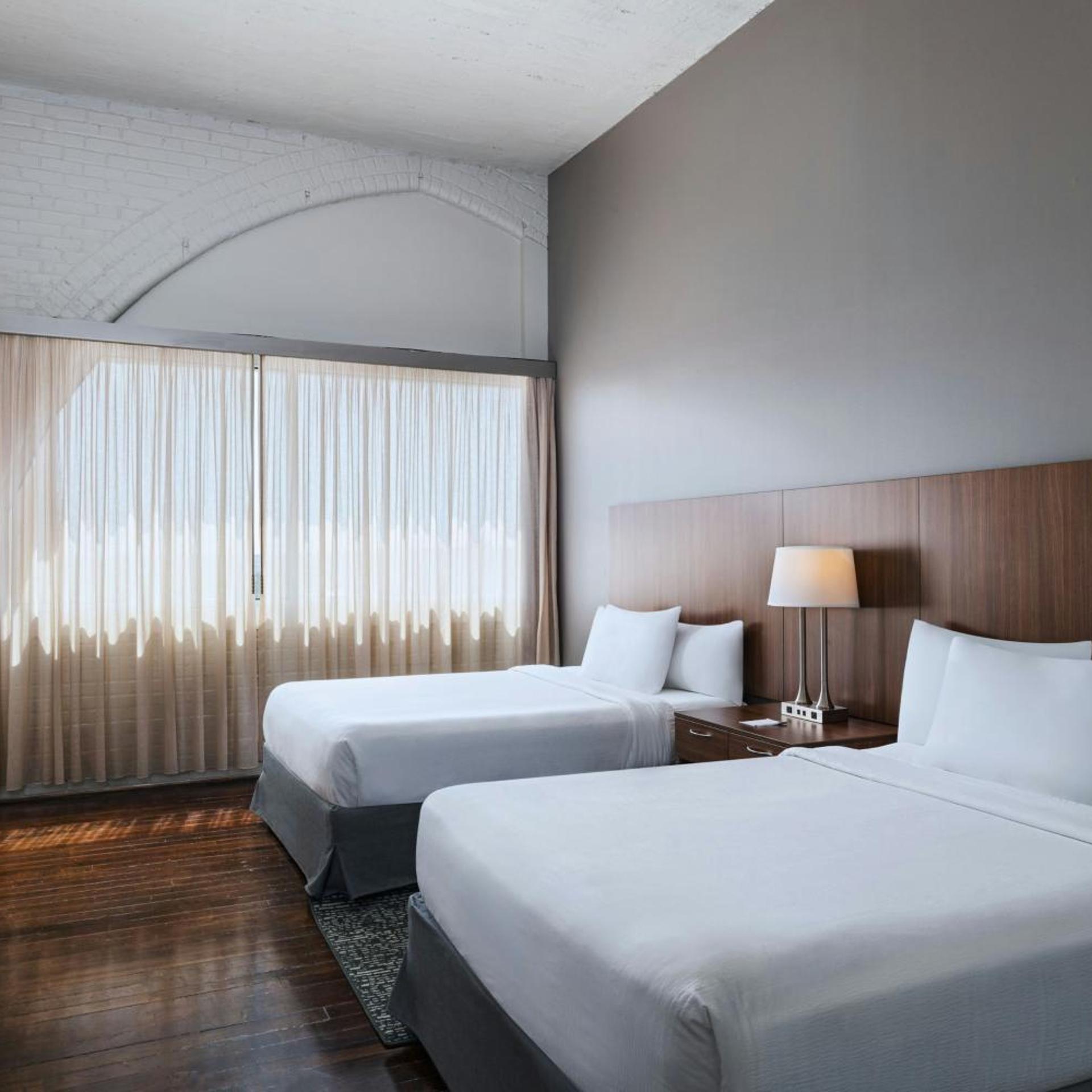 Studio, Queen Bed, Sofa, Accessible