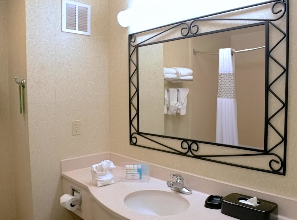 Hampton Inn & Suites Birmingham-Pelham (I-65) 18/48