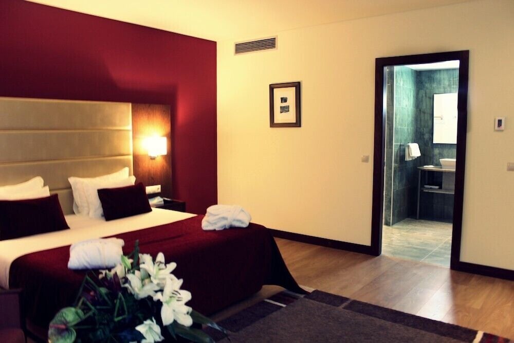 Palace Hotel & Spa Termas De Sao Miguel 10/47