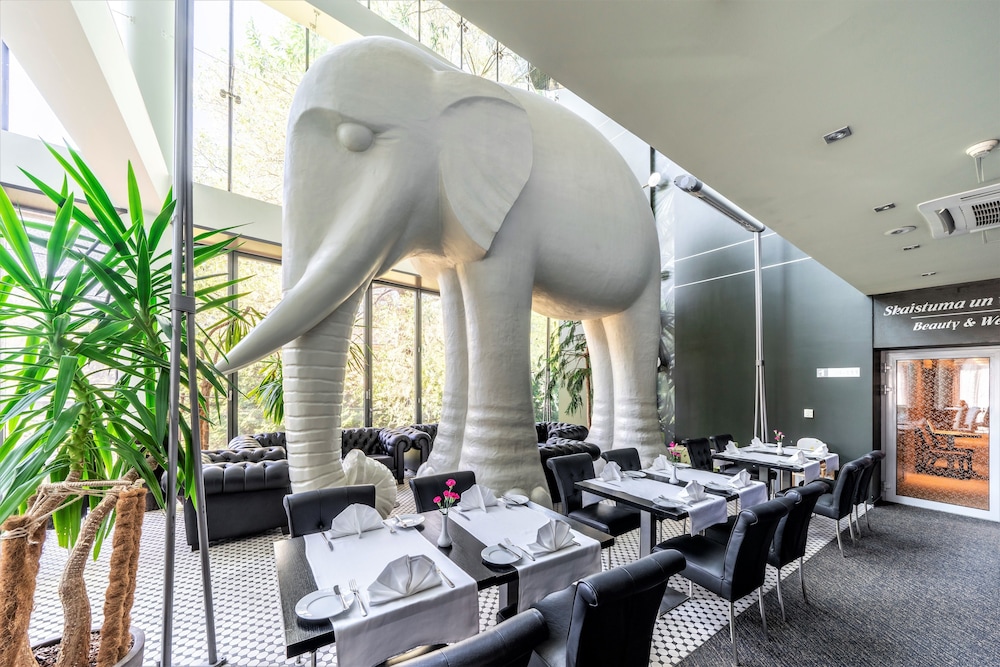 Rixwell Elefant 24/31