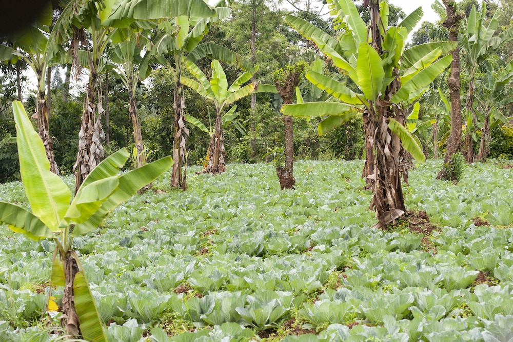 Kaliwa Lodge 45/49