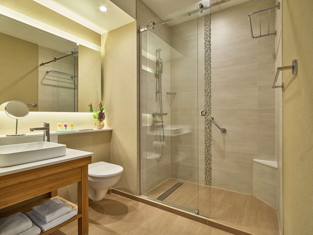 HYATT PLACE AMSTERDAM AIRPORT 66/66