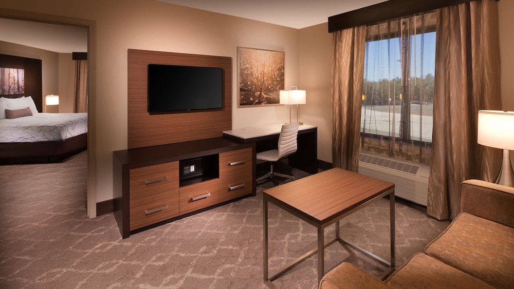 Aiden by Best Western Warm Springs Hotel and Event Center 27/44