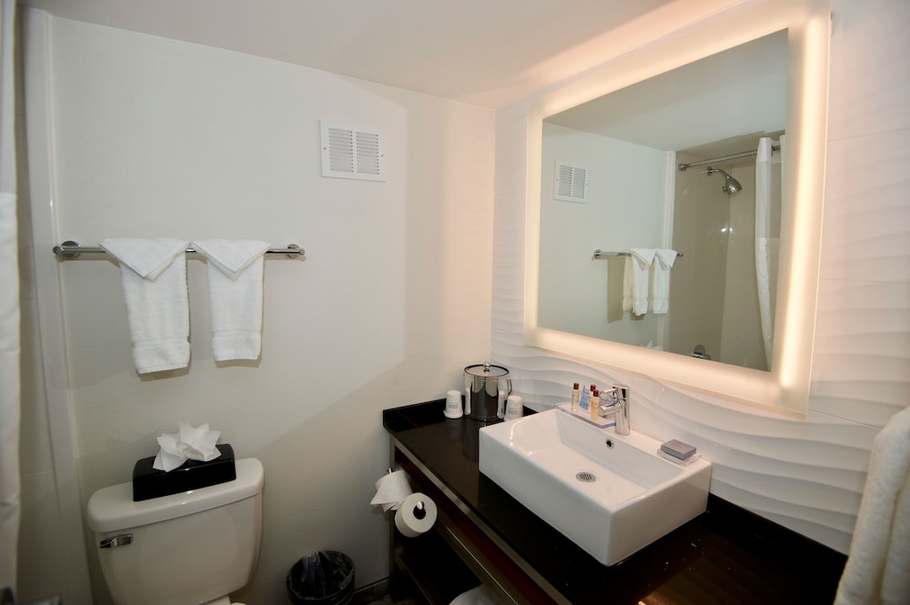 Ramada By Wyndham Austin South 17/52