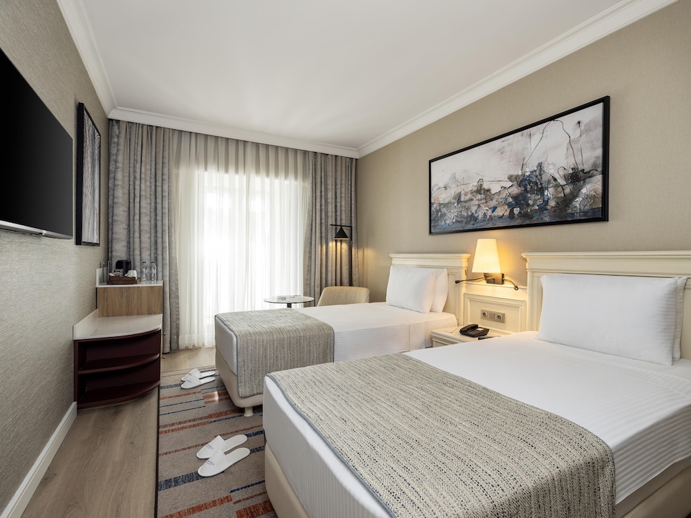 Elite World Comfy Istanbul Taksim Hotel 42/87