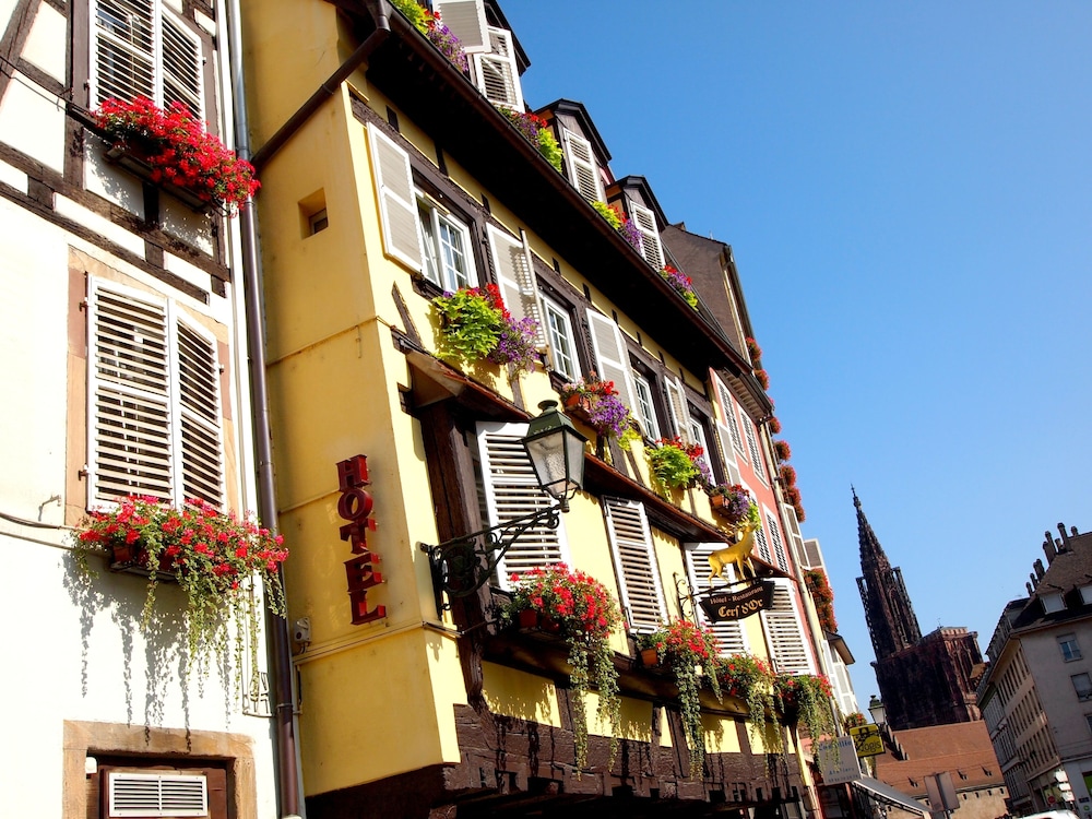 HOTEL AU CERF D'OR photo5