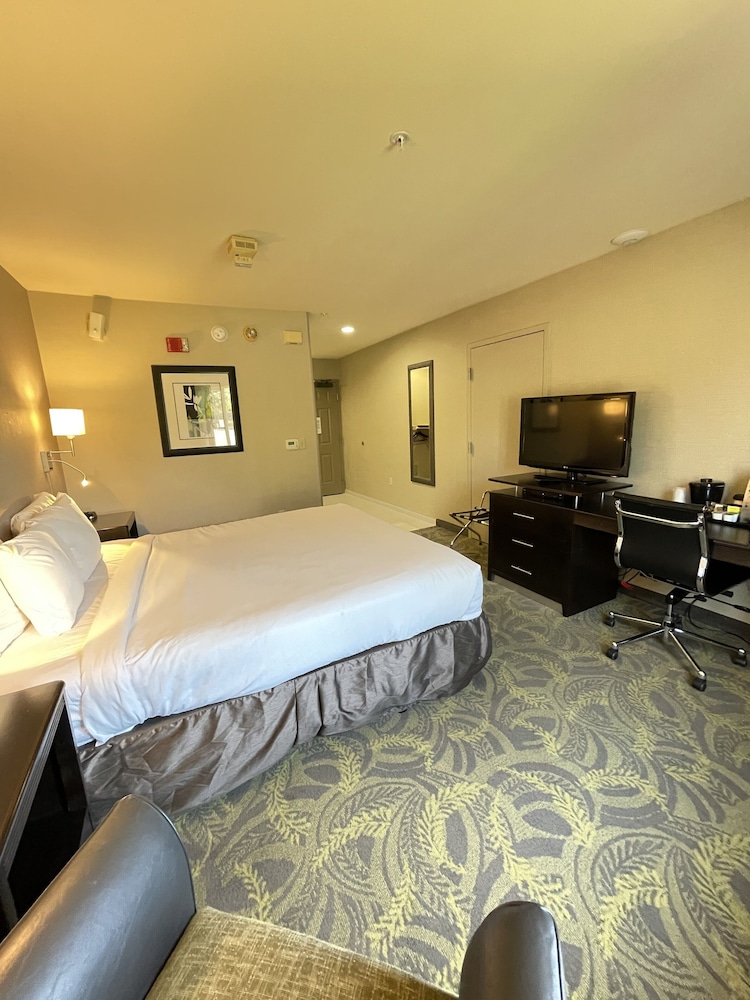 Country Inn & Suites By Radisson, San Carlos, CA 9/40
