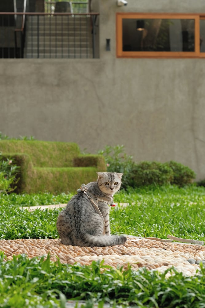 Proud Phu Fah Muang Chiang Mai 45/50